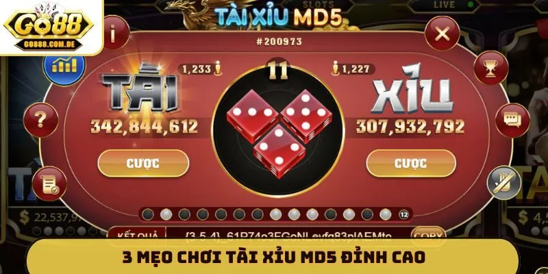 3 mẹo chơi tài xỉu MD5 đỉnh cao