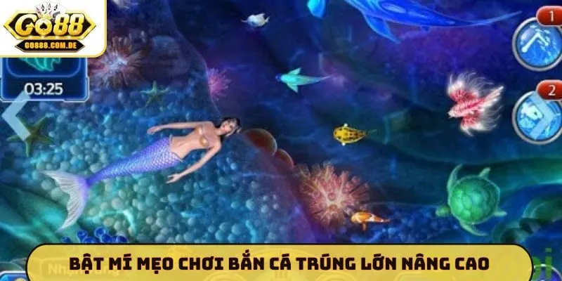 Mẹo Chơi Bắn Cá Trúng Lớn GO88 - Chiến Thuật Điều Phối Đạn Bật mí mẹo chơi bắn cá trúng lớn nâng cao