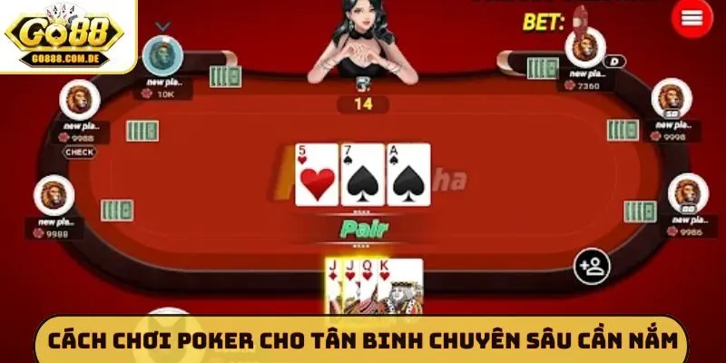 Cách chơi Poker cho tân binh chuyên sâu cần nắm
