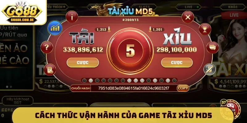 Cách thức vận hành của game tài xỉu MD5