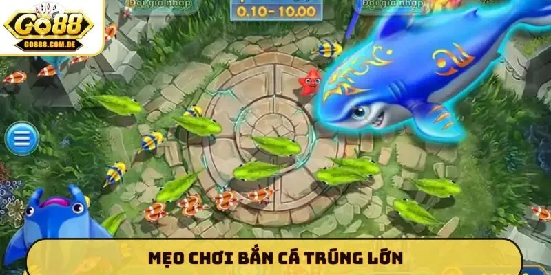 Mẹo chơi bắn cá trúng lớn