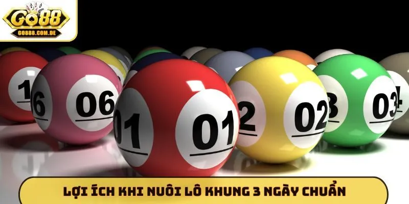 Top 4 Cách Nuôi Lô Khung 3 Ngày Chuẩn - Thắng Lớn Cùng Go88 Lợi ích khi nuôi lô khung 3 ngày chuẩn