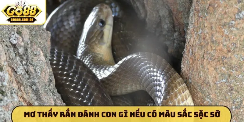 Mơ Thấy Rắn Đánh Con Gì - GO88 Giải Mã Bí Ẩn Tâm Linh Chuẩn Mơ thấy rắn đánh con gì nếu có màu sắc sặc sỡ