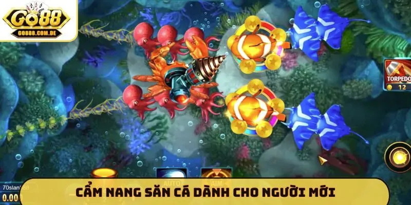 Cẩm Nang Săn Cá dành cho người mới