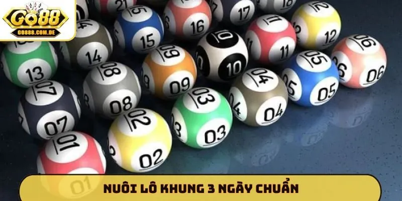 Nuôi lô khung 3 ngày chuẩn