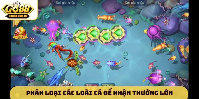 Phân loại các loài cá để nhận thưởng lớn