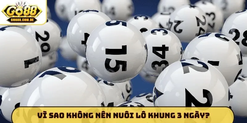 Top 4 Cách Nuôi Lô Khung 3 Ngày Chuẩn - Thắng Lớn Cùng Go88 Vì sao không nên nuôi lô khung 3 ngày?