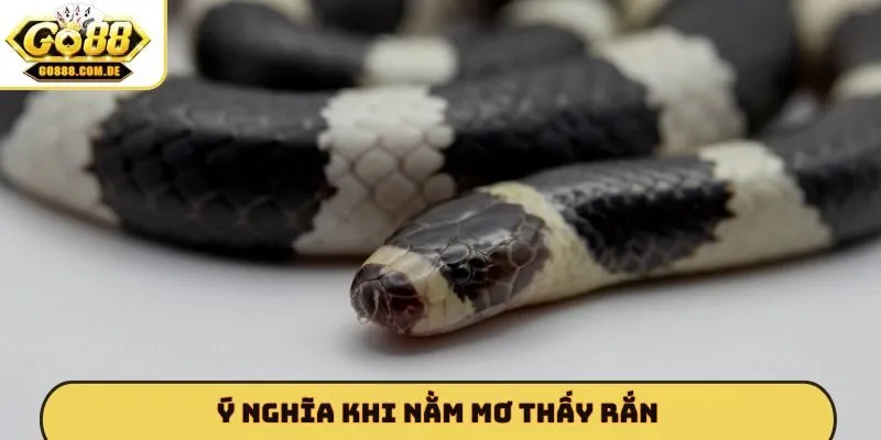 Mơ Thấy Rắn Đánh Con Gì - GO88 Giải Mã Bí Ẩn Tâm Linh Chuẩn Ý nghĩa khi nằm mơ thấy rắn